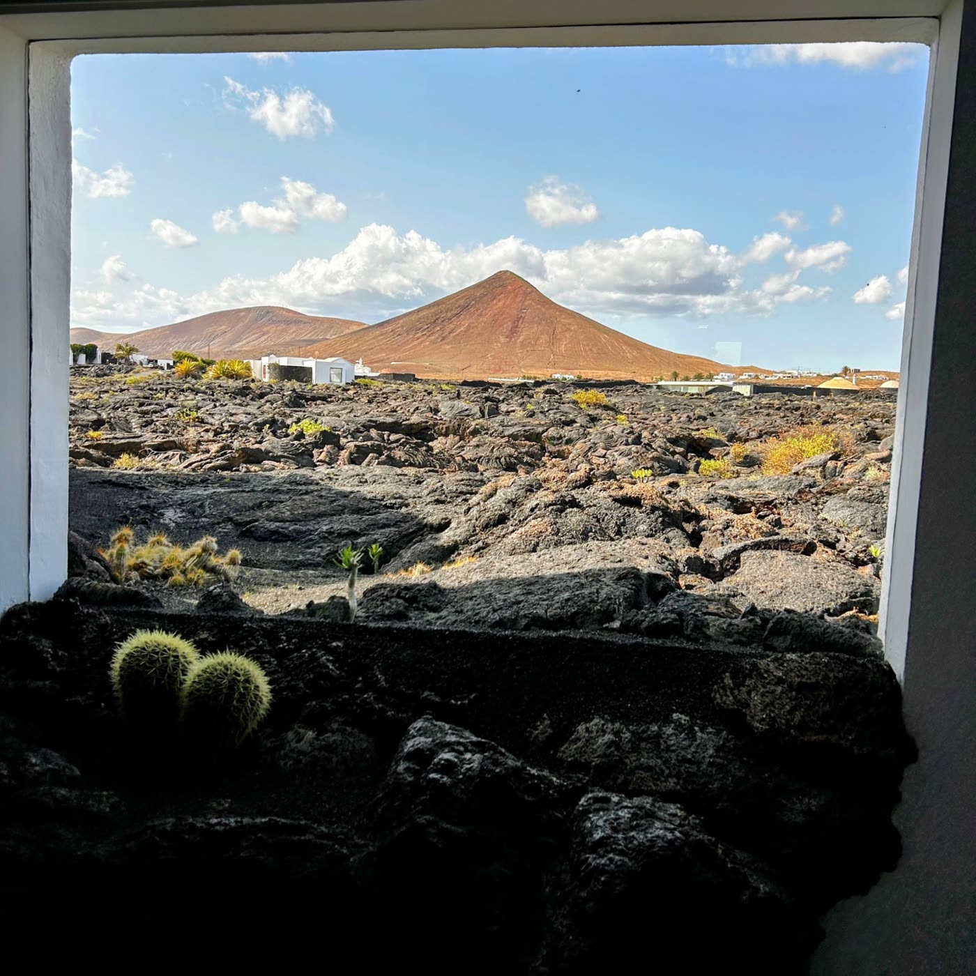 Finestra con rocce e cactus all’interno, sembra che il paesaggio esterno “entri” in casa