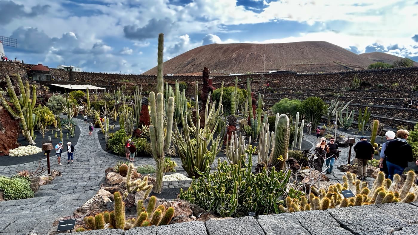 Jardin de cactus