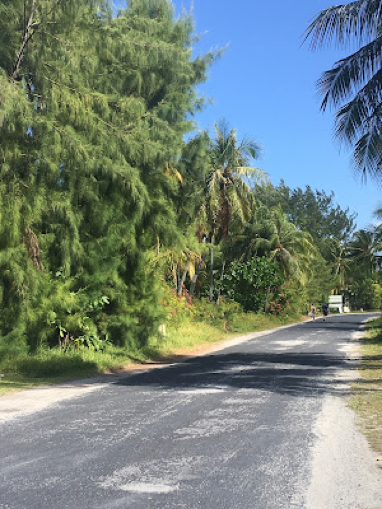 L'unica strada